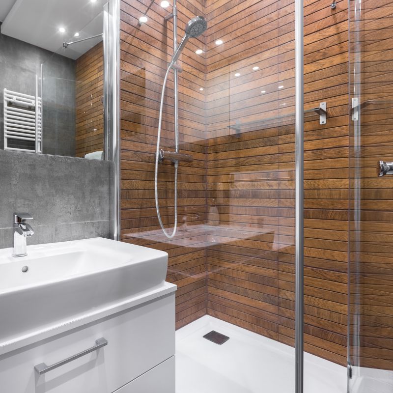 Multi-Functional Shower Panels